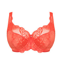 Plus Size Lingerie