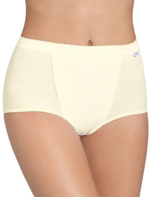 Sloggi Control Maxi Brief - Chrysantheme