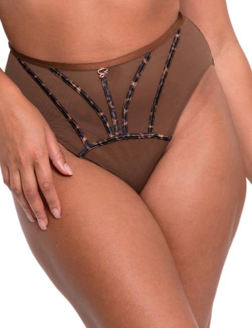 Scantilly by Curvy Kate Senses High Waist Brief - Leopard Brown
