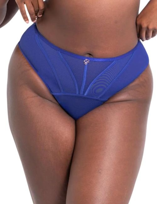 Scantilly by Curvy Kate Senses High Waist Brief - Ultraviolet