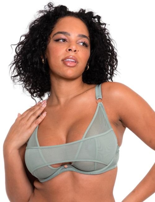 Scantilly by Curvy Kate Peep Show Plunge Bra - Sage Green