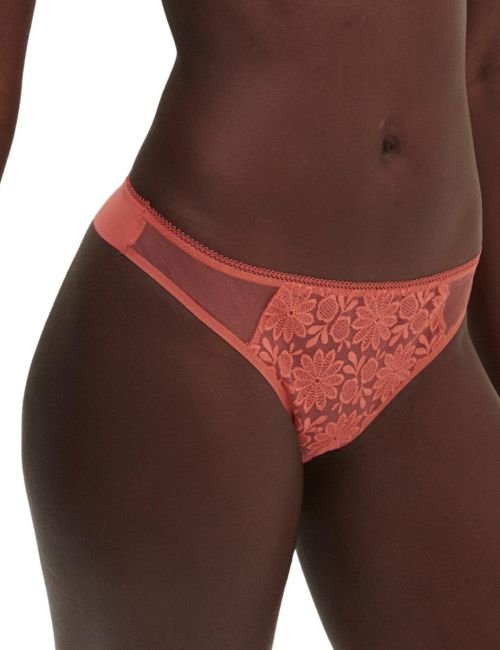 Simone Perele Amazone Tanga Brief - Texas Pink
