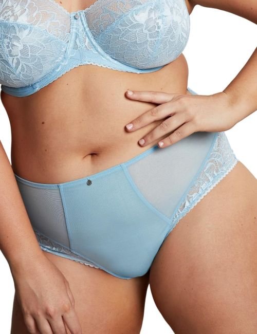 Sculptresse by Panache Dream Deep Brief - Pale Blue