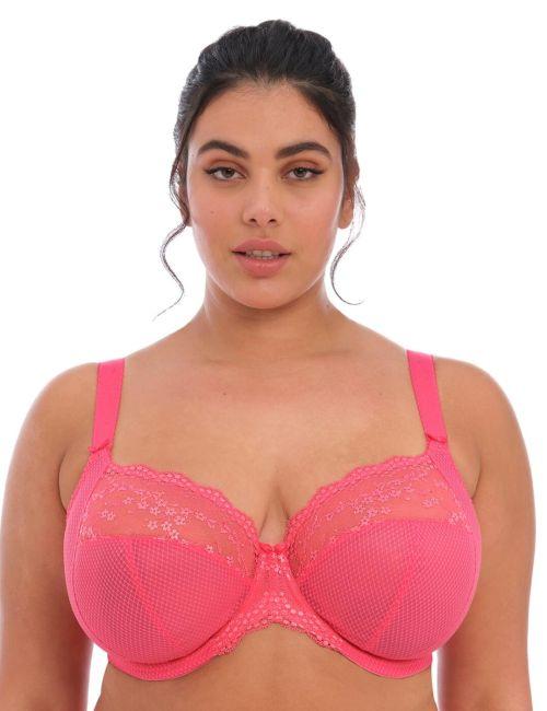 Elomi Charley Stretch Plunge Bra - Honeysuckle