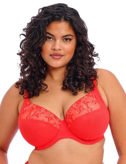 Elomi Charley Plunge Bra - Salsa