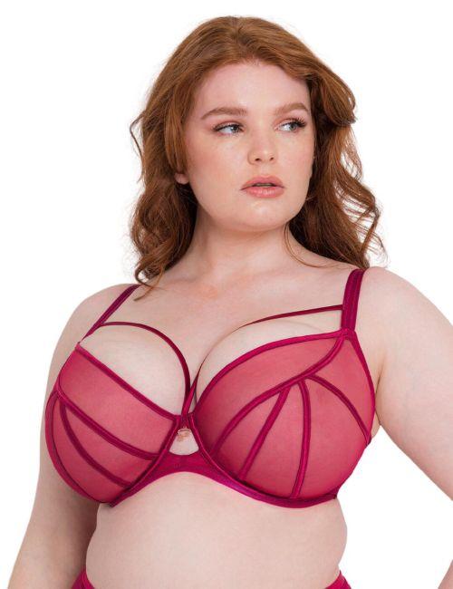 Scantilly by Curvy Kate Senses Plunge Bra - Cherry