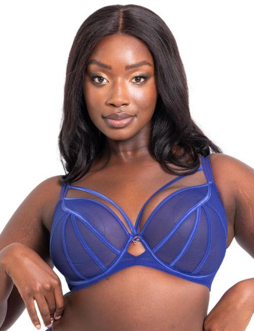 Scantilly by Curvy Kate Senses Plunge Bra - Ultraviolet