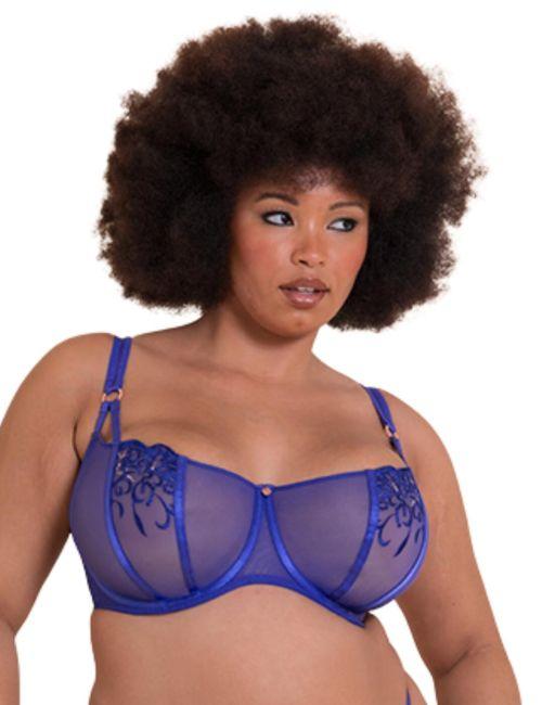 Scantilly by Curvy Kate Ornate Balcony Bra - Ultraviolet
