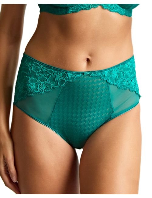 Panache Envy Deep Brief - Teal