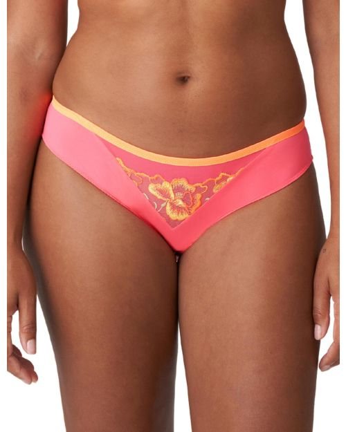 Prima Donna Devdaha Rio Brief - Tropicana