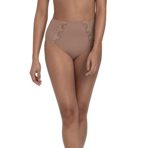 Anita Sophia High Waist Brief - Dusty Rose