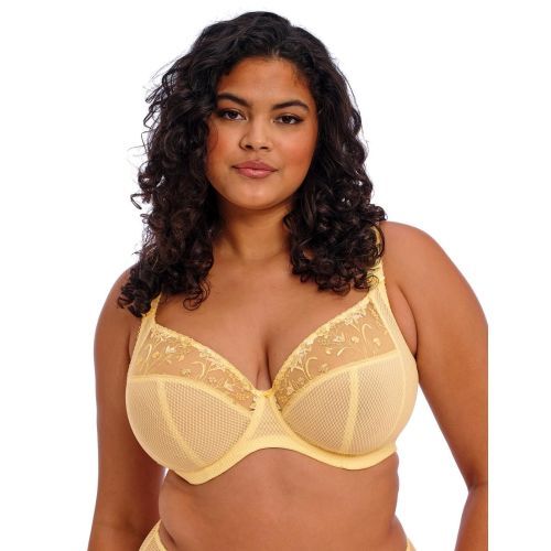 Elomi Charley Plunge Bra - Lemon Fizz