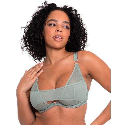 Scantilly by Curvy Kate Peep Show Plunge Bra - Sage Green