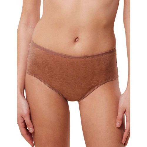 Triumph Signature Sheer Maxi Brief - Toasted Almond