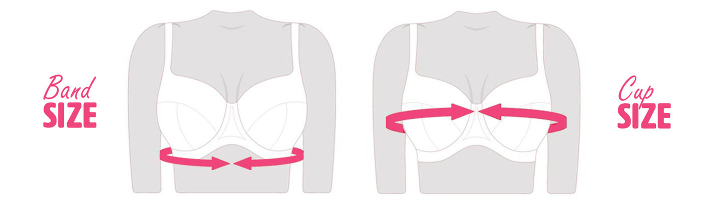 measuring bra size
